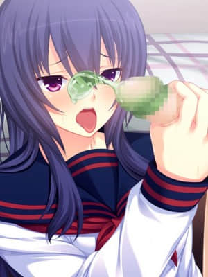 [WitchFlame] 妹とヤリたいことのすべて 「ごくん……ねぇ、なんでもするから、これ、もっとちょうだい、お兄ちゃん」_cgA-25f04