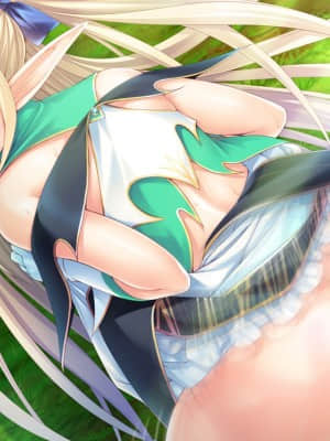 [Miel] エルフ種付け牧場_ev007i