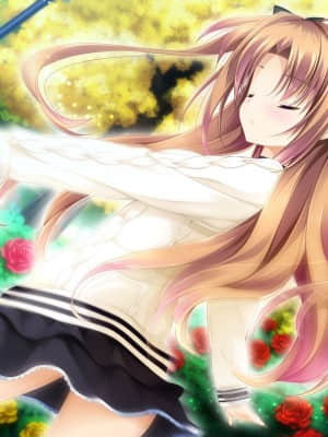 乙女が彩る恋のエッセンス_songxs_EVCO_04_L+PNAP+011_EVCO_04_L+PNAP+002