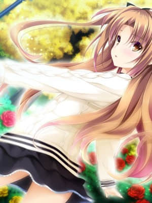 乙女が彩る恋のエッセンス_songxs_EVCO_04_L+PNAP+011_EVCO_04_L+PNAP+006