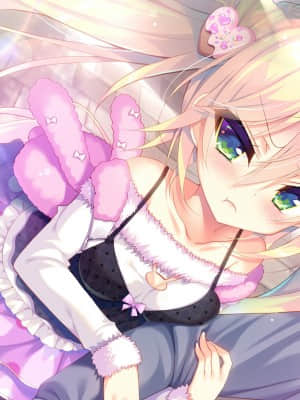 [カクテル・ソフト] きゃんきゃんバニープルミエール3_6206