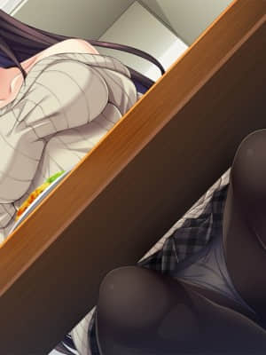 [インターハート] イイナリ姉色 ～お姉ちゃんさえいればいい!～_HG01010002