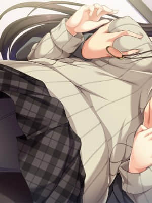 [インターハート] イイナリ姉色 ～お姉ちゃんさえいればいい!～_HG01020003