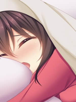 [インターハート] イイナリ姉色 ～お姉ちゃんさえいればいい!～_HG01090002