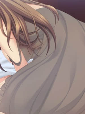 [インターハート] イイナリ姉色 ～お姉ちゃんさえいればいい!～_HG02030001