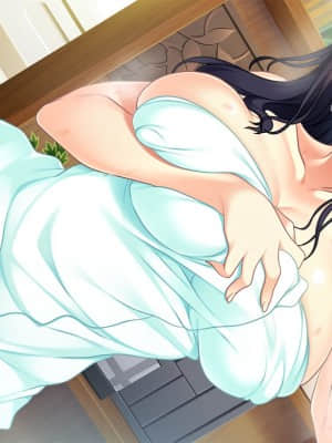 [インターハート] イイナリ姉色 ～お姉ちゃんさえいればいい!～_HG04010004