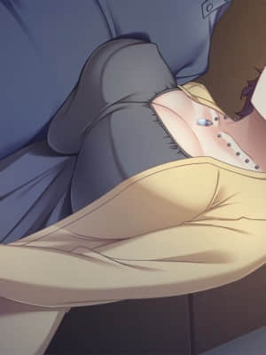 [インターハート] イイナリ姉色 ～お姉ちゃんさえいればいい!～_HG06030004