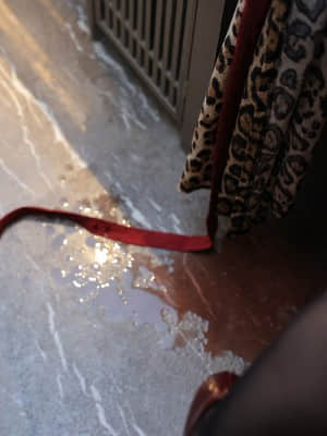 XIUREN No.3605: 美七Mia_XIUREN-No.3605-Mia-073