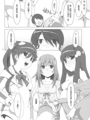 (C78) [TIES (タケイオーキ)] まかせてっ！FireSisters★ (化物語) [中国翻訳]_0024