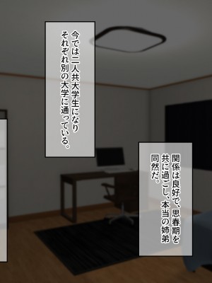 [せびれ] アネトリ～義姉は義弟に壊 (おか)される～_009_007