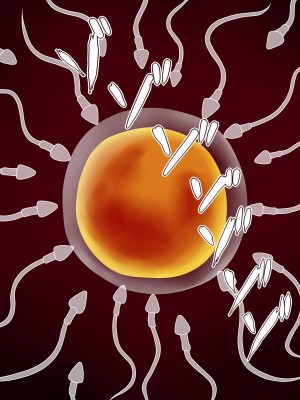 (同人CG集) [P・ボックス (スウィッチ01)] 人妻支配_165_164