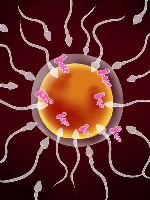 (同人CG集) [P・ボックス (スウィッチ01)] 人妻支配_316__02