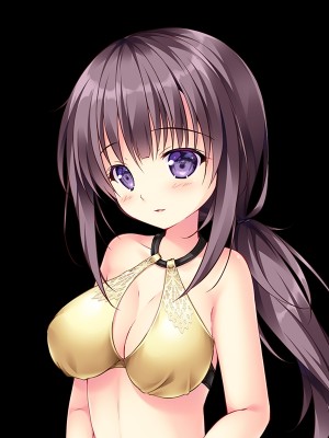 [Princess Sugar] プリンセス☆シスターズ！～四姉妹は全員あなたの許嫁～_1431_ta05cba1