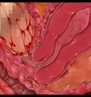 [Miel] 男勝りな爆乳海賊と生真面目将校を巨チン一つでドMな孕ませオナホにする海賊性活_zcu105a