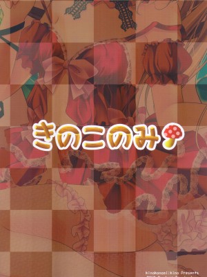 [公主の假日汉化组] [きのこのみ (kino)] とらけるフランちゃん (東方Project)_24