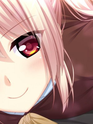 [アトリエかぐや TEAM Gassa-Q] シスパコ ～Hな甘辛4姉妹～_e_c0803