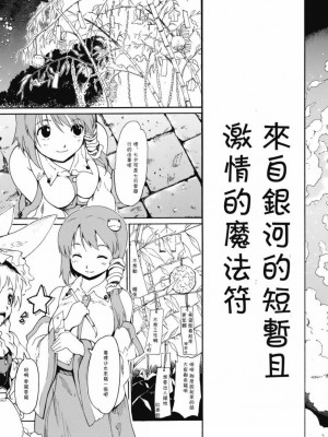 [萌の羽翼汉化组] (C76) [PARANOIA CAT (藤原俊一)] 東方浮世絵巻 「ミルキーウェイの刹那的且つ情熱的な魔術符」 (東方Project)_04