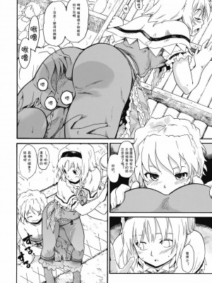 [萌の羽翼汉化组] (C76) [PARANOIA CAT (藤原俊一)] 東方浮世絵巻 「ミルキーウェイの刹那的且つ情熱的な魔術符」 (東方Project)_29