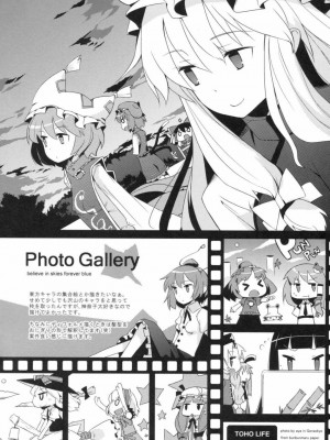 [绯色汉化组] (例大祭6) [NURSERYTALE (山根真人)] Sugar (東方Project)_10