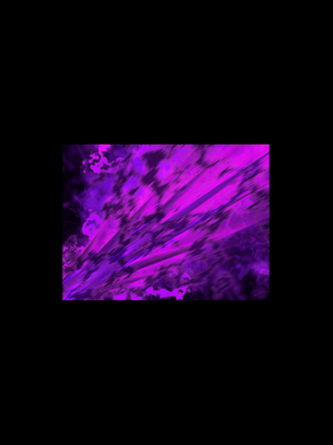 [Luwen Workshop] Fate╱Empire of Dirt (1.10)_0818_ECG02_01