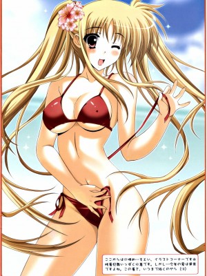 [清純突破漢化] (リリカルマジカル10) [HATENA-BOX (おだけんいち)] 俺の義妹はこんなにも可愛い。 (魔法少女リリカルなのは)_12