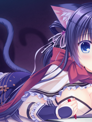neko-nin vol01 (無修正)_009