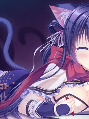 neko-nin vol01 (無修正)_010
