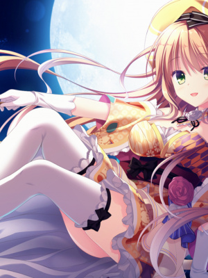 [遊戲CG]neko-nin vol03(無修正)_003