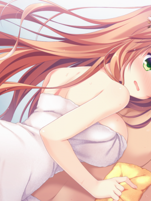 [遊戲CG]neko-nin vol03(無修正)_004