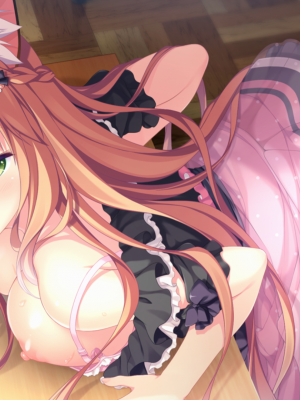 [遊戲CG]neko-nin vol03(無修正)_028