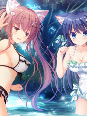 [遊戲CG]neko-nin vol03(無修正)_112