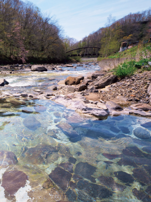 水トさくら 写真集 「恍惚」_0059