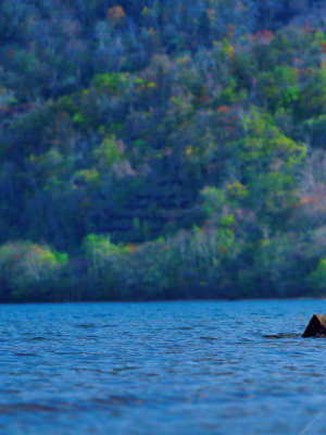 水トさくら 写真集 「恍惚」_0088
