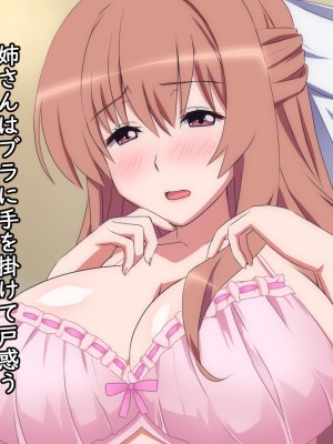 [勇者乾電池] エッチ大好きな姉さんとセックスを2週間我慢した結果_047