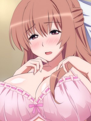 [勇者乾電池] エッチ大好きな姉さんとセックスを2週間我慢した結果_048