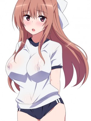 [勇者乾電池] エッチ大好きな姉さんとセックスを2週間我慢した結果_522