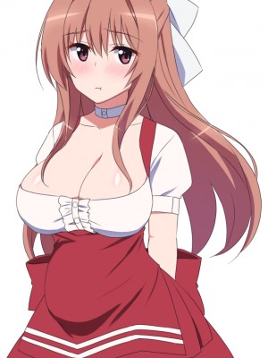 [勇者乾電池] エッチ大好きな姉さんとセックスを2週間我慢した結果_523