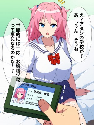 [はにーとらっぷ (ウエスキー)] 噂の援交サークル所属の痴女っ娘JKと主観エッチ_008